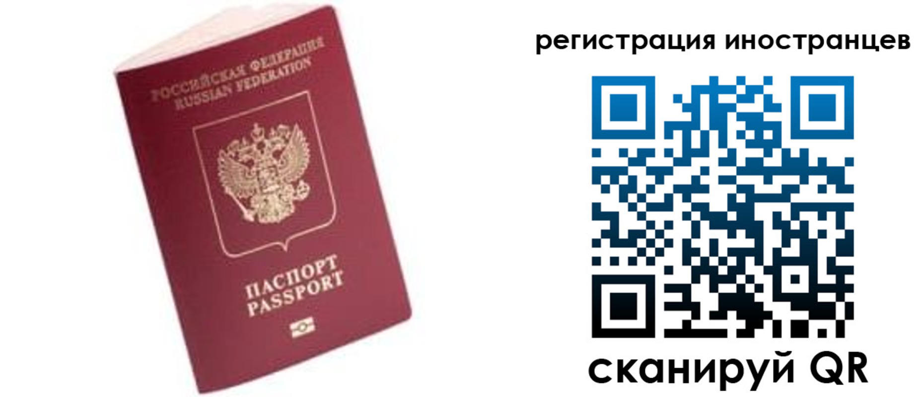 прописка гарантия в Чайковском